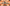 Animated preview of Spookyn Stream Overlay showing product title screen, Starting Soon scene, stinger transition, webcam frame and stream widgets