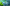 River Koi Stream Overlay