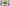 Neo Brutalism Stream Overlay