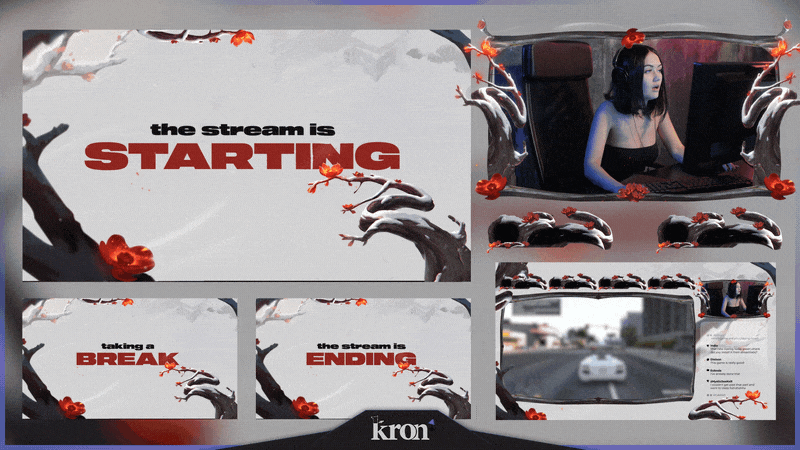 Winter Stream Overlay