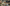 Shinobi Stream Overlay.