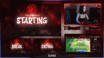 Shizuki Stream Overlay