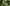 Neon Byte Stream Overlay