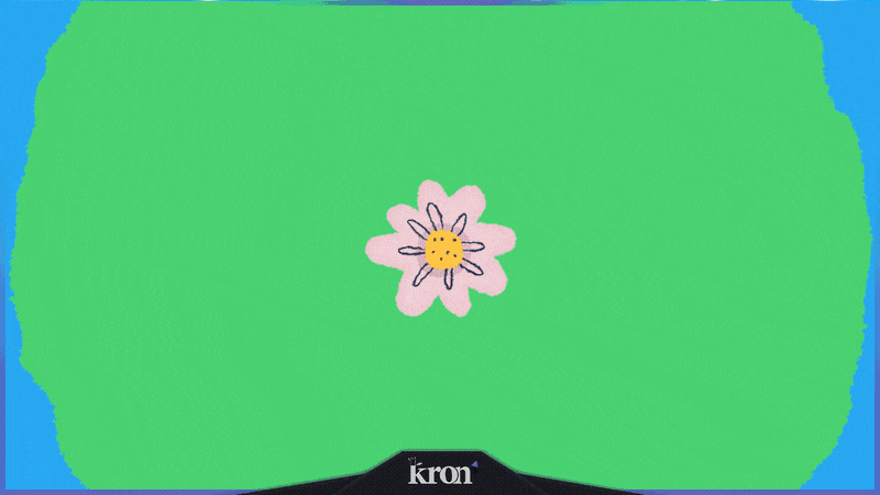 Lazy Frog Stream Overlay