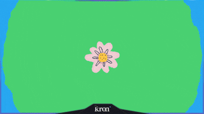 Lazy Frog Stream Overlay