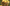 Christmas Room Stream Overlay
