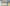 Lo-fi Coffee Shop Stream Overlay.