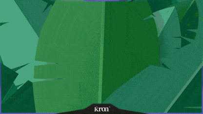 Kong´s House Overlay Animado
