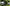 Neon Byte Stream Overlay