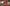 Merry Christmas Stream Overlay