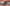 Boopkin Stream Overlay