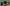 Neo Brutalism Animated Widgets