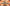 Spookyn Stream Overlay for Twitch with retro halftone texture, orange sunburst background, cartoon pumpkins and playful vintage Halloween-inspired aesthetic
