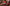 Christmas Room Stream Overlay for Twitch - Animated 3D Cozy Christmas Tree Fireplace Package with Alerts and Widgets | byKron