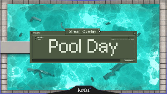 Pool Day Stream Overlay