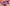 Boopkin Stream Overlay for Twitch with cute cartoon gaming aesthetic, camera frame, alerts and stream widgets