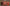 Cozy Christmas Animated Widgets for Twitch with colorful warm holiday aesthetic featuring alerts, goal, events, spin wheel, viewer count and chat box widgets