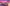 Grand Miami VI Stream Overlay for Twitch with neon sunsets, palm trees, fast cars and retro Miami crime game aesthetic