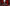 Animated preview of Muspelheim Stream Overlay showing product title screen, Starting Soon scene, stinger transition, webcam frame and stream widgets