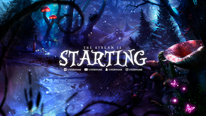 Overlay Personalizado Starter